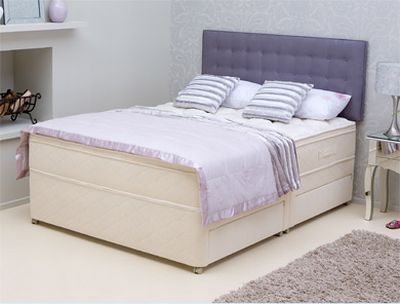 product_2239 shelly.jpg